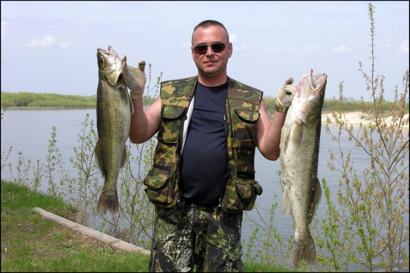 Поплавок Рыболовный Магазин Ростов